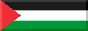 Palestine flag