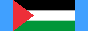 Palestine flag