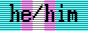 he/him with transgender flag background