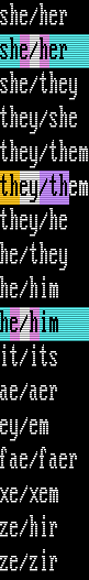all the pronouns in VGA font