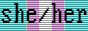 she/her with transgender flag background