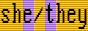 she/they with intersex flag background