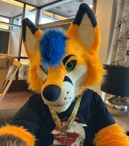 a yellow/white/blue canine