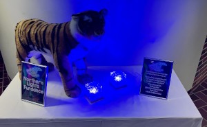 Northern Lights Furdance sign, wild feline, blue glass cube lights
