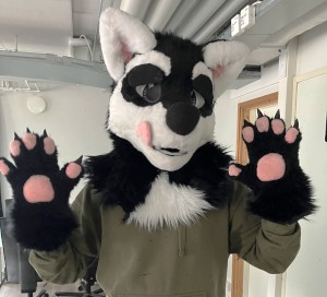 not in the previous photos